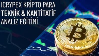Bitcoin ve Kripto Para Analiz Araçları ve Platformları